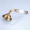 Pommeau de douche à main de luxe en laiton antique en cuivre massif pour douche à main, b