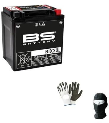 MOTO SPORT MONDO Compatible con Harley Davidson FLHRI Road King F/I 1450 2001-2006 Batería BS BIX30L SLA ya lista para su uso activo sellada baterías 30 Ah Amplía 12 V 165 x 125 x 175 mm