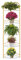 REAWOW 5-Etagen Blumenständer, Pflanzenständer Eckrega Pflanzentreppe Halter Indoor Holz, mehrstufiges Pflanzenständer Blumentöpfe-Präsentationsregal Fächerförmig