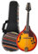 Professional Adult Mandolin Instrument 8 String Electric Mandolin A Style Rosewood Fingerboard Adults Musical Instrument With Bag Picks Tuner