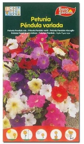 Semillas fito flores petunia pendula variada 00677 (caja 10 unidades)