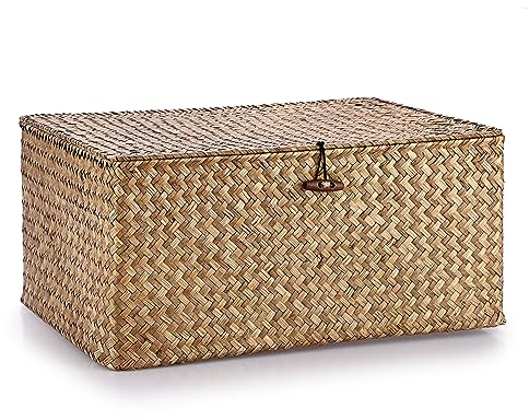 IGNPION Seagrass Storage Basket with Lid Woven Wicker Desktop Basket Rectangular Bathroom Storage Organiser Box, Living Room Decorative Under Shelf Basket Multipurpose Storage Hamper (XL, Coffee)
