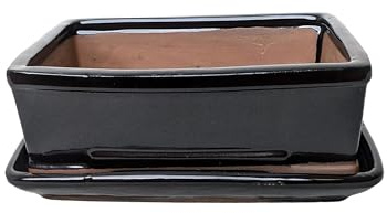 Glazed Ceramic Bonsai Pots with Matching Drip Trays (Black, 20cm)