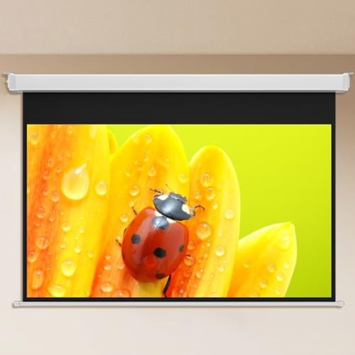 OUKEJNM Manual Pull Down HD Projection Screen 60 72 4:3 16:9 Projector Screen Wall Mounted Movie Screen for Home Theater Public Screens with Auto Lock