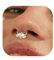 BodyBonita 16G Septum Piercing Schmuck – 316L Edelstahl Nasenring Nasenpiercing mit Zirkonia für Frauen Männer Conch Helix Piercings Tragus Daith Knorpel Ohrpiercing Gold 8mm Flatternde Biene