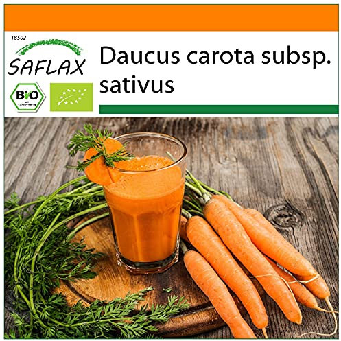 SAFLAX - - BIO - Carota - Early Nantes - 1500 semi - Daucus carota subsp. sativus