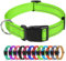 TagME Nylon Hundehalsband, Verstellbares Reflektierendes Hundehalsband mit Sicherheitsschnalle für Mittlere Hund, Grün, 2.5cm Breite