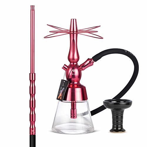 Chicha Rose Tsar Molotov X + - Chicha kit complet avec tuyau manche foyer et pince à charbon