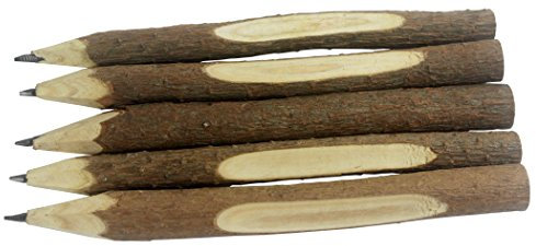 Gullor 5PCS crayons en bois en graphite à branche et à galette