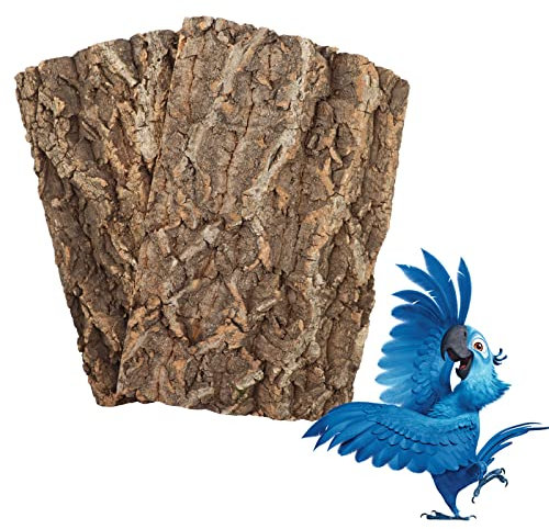 2 Stück 30,5 x 20,3 cm 100 % natürlicher Kork Sitzbretter, Vogelkäfigrinde, Dekor-Zubehör für Vögel, Sittiche, Wellensittiche, Papageien, Nymphensittiche, Hamster, Meerschweinchen, Ratten