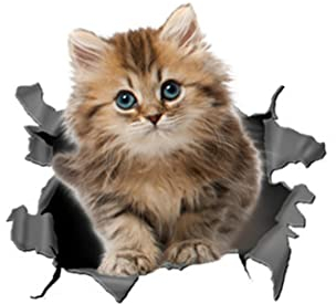 3D Dreidimensionale Katze Abnehmbarer Autoaufkleber Autodekorationsaufkleber Autofensteranimation Lustiger Dekorativer Kätzchenaufkleber Automodellierungsaufkleber (14 * 13 Cm)