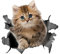 3D Dreidimensionale Katze Abnehmbarer Autoaufkleber Autodekorationsaufkleber Autofensteranimation Lustiger Dekorativer Kätzchenaufkleber Automodellierungsaufkleber (14 * 13 Cm)