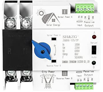 DEWIN Interruptor de Transferencia Automática,2P 100A 220V ATS Fotovoltaico Interruttore di Trasferimento Automatico Fotovoltaico a Doppia Alimentazione Fotovoltaico Commutatore Elettronico