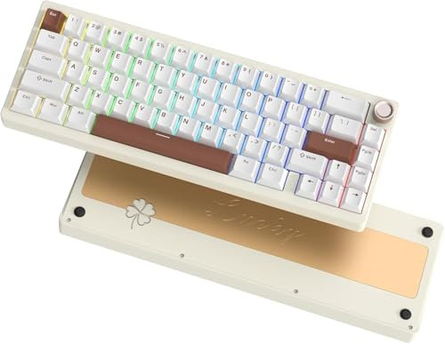 LQXQ SK65 V1 Teclado Mecánico Inalámbrico para Juegos, 60% Aluminio Teclado Bluetooth 5.0/2.4GHz/USB-C, Retroiluminación RGB Cableada Intercambiable en Caliente para Ordenador Mac PC, Beige