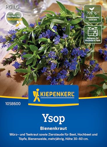 Kiepenkerl Ysopsamen Bienenkraut 1058600 - Würz- und Teekraut sowie Zierstaude für Beet und Töpfe sowie als Bienenweide - Pflanzen Samen, Saatgut, Kräutersamen