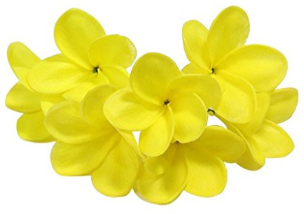 Winterworm fiori di Plumeria artificiali in lattice dall’aspetto realistico 10 steli color avorio bouquet di fiori in lattice da sposa per feste nuziali festival decorazioni bouquet Giallo