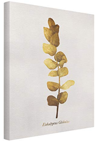 Leinwandbild Gold - Eukalyptus Kunstdruck Bild auf Leinwand 40x30 cm