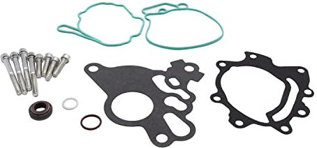 SHLPDFM Vakuumpumpe Unterdruckpumpe Kraftstoffpumpe Reparatursatz Dichtungssatz 03G145209 F009D00069 für A3 A4 A6 Au-di Fo-rd Se-at Sk-o-da 2.0 TDI