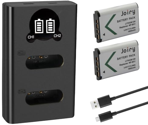 2 X NP-BX1 Batterie de Rechange et Chargeur Double Compatible avec Sony NP-BX1/M8 et Sony CyberShot DSC HX90 HX95 HX99 RX100 WX350 HX400V HDR AS100V FDR X1000 X3000