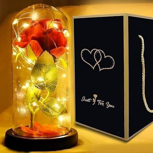 Saffri Led Lights Red Rose Gift in Glass Dome Perfect Present for Girlfriend Boyfriend GF BF Husband Wife Christmas Birthday Anniversary