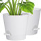 Vasi per Piante Autoirriganti Set di 2, 20.3 cm Vaso con Sistema di Auto-irrigazione Vasi Decorativi Interno Moderni con Sottovasi per Casa e Ufficio, Vasi da Fiori per Piante, Orchids