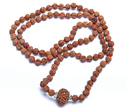 Wonder Care Authentic Rudraksh Mala mit Mukhi-Perle - Echte Himalaya-Rudraksha-Samen Religiöse Ornament Rosenkranz Japa Mala Halskette - Importiert aus Nepal [10 Mukhi]