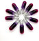 Maxxoni - 10x W1,2W 12V T5 Glassockellampe Tachobeleuchtung Tacho Auto Innenraumbeleuchtung (10x Violett)