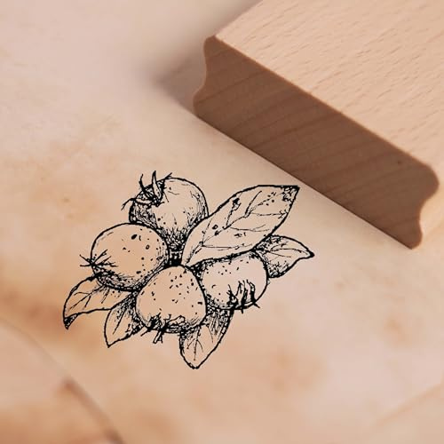 Motivstempel Mispel - Stempel Holzstempel 48 x 38 mm