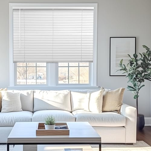 Chicology Light Filtering, Darkening Perfect for Kitchen/Bedroom/Living Room/Office and More, Vinyl, Gloss White (Commercial Grade), 35 W X 60 H