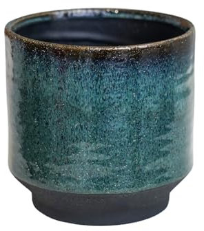 Ivyline Plant Pot Planter, Ceramic, Blue, Small