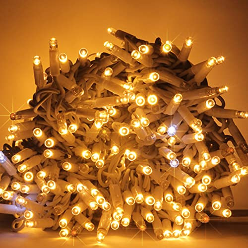 Luccika Stringa Catena di luci Natale a LED Professionale, MaxiLed da 8mm, Flash, per Giardini Negozi Bar, Esterno (Bianco Caldo con Flash Bianco Ghiaccio, 10 Metri - 100 LED)