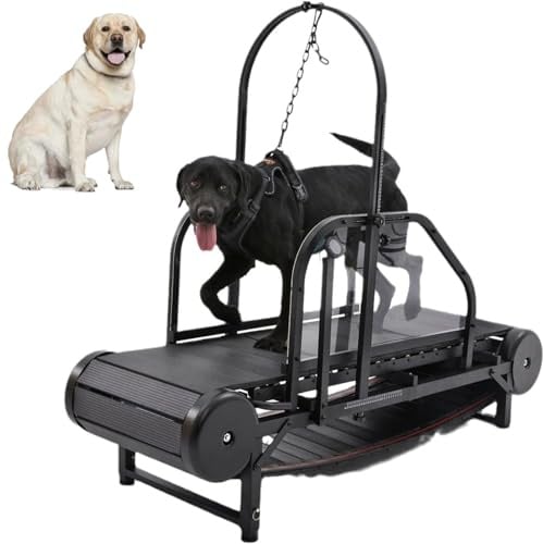 Hunde-Laufband, leise und verstellbar mit Schrittzähler, für Bewegung und gesundes Haustierleben