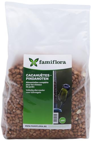 Famiflora Beutel Erdnüsse für Gartenvögel - 4KG - Vogelfutter - Winterfutter für Vögel - Natürlich - Energiereich