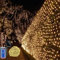 CORST 1.5x1.5M Lichternetz Außen Solar Baum Lichterkette Netz für Büsche,Lichtervorhang Solar Garten Lichterkette Verknüpfbar mit Fernbedienung & Timer 8 Modi für Hochzeit Zimmer(Warmweiß)