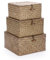 IGNPION Set of 3 Seagrass Lidded Storage Baskets Square Handwoven Bathroom Shelf Storage Box Hamper Stakable Toy Organizer Bin Natural Woven Multipurpose Organiser Container (Coffee)