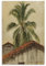NgAnoh Palmen und Housetops von Frederic Edwin Kirche, Leinwanddruck, Fotokunst, Malerei, Leinwand, Heimdekoration, Schlafzimmer, moderne Dekorationen, Geschenke, 50 x 75 cm