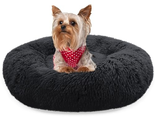 bluzelle Hundebett für kleine Hunde & Katzen, 50cm Hundekissen Rund Donut Kissen Hundekorb Plüsch, Katzenbett Flauschig Katzenkissen Waschbar rutschfest Weich, Farbe:Schwarz