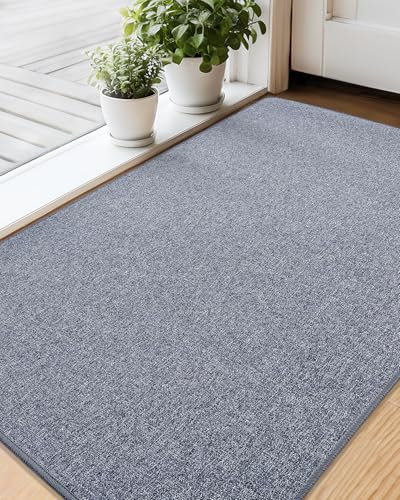 COLOR&GEOMETRY Small Thin Door Mats Indoor 44x75 cm, (Rolled-up NO Creases), Non Slip Rubber Backed Front Door Mat Rugs for Entryway Low-Profile Doormats Inside Entry Mat Easy Clean, Grey