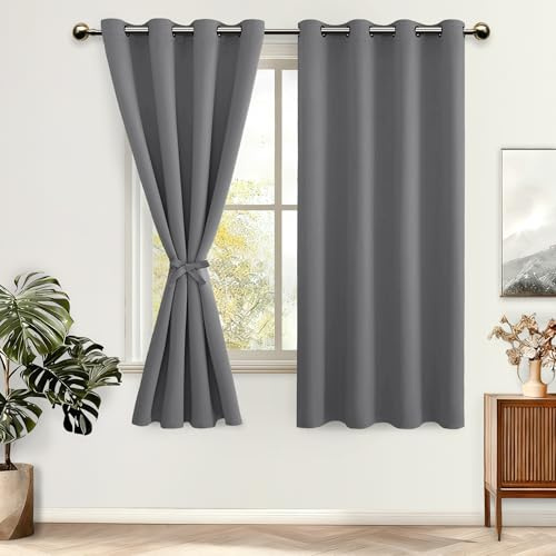 DWCN Verdunklungsvorhänge mit Ösen Blickdicht Vorhänge mit Raffhalter | Grau, H145 x B140 cm, 2 Stücke Thermovorhang Kälteschutz Gardinen Wohnzimmer Schlafzimmer Wärmeisolierend