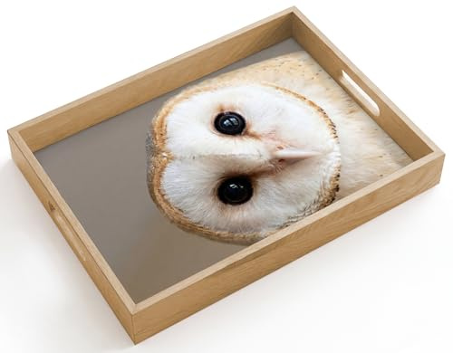 OnlyWow© Tablett Serviertablett rutschfest Griff Küchentablett | 40x30 cm - Rechteckig - Servierplatte Eiche Holztablett Henkel Hitzebeständig Eule - Braun - Weiß