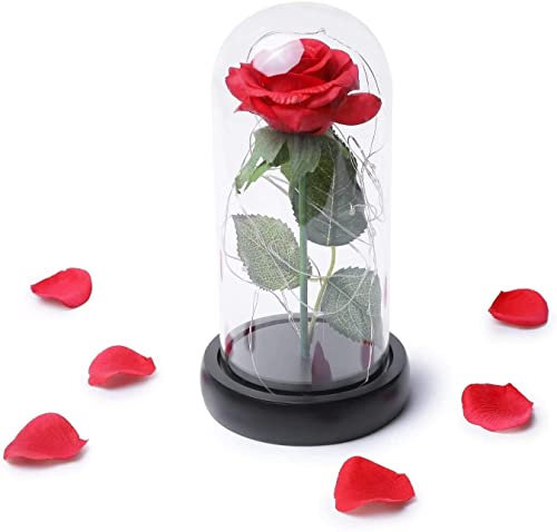 HelaCueil La Bella e La Bestia Rosa, Rosa Eterna, Elegante Cupola di Vetro con Base Pino Luci LED per Giorno di San Valentino Compleanno Anniversario Matrimonio Regalo di Festa della Mamma