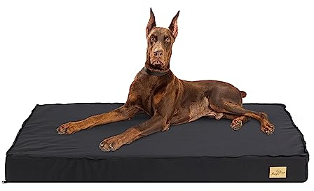 BingoPaw Orthopädische Hundematratze: Gelenkschonendes Hundebett, Kissen, Schlafplatz für Große, Mittelgroße, Kleine Hunde und XXL Hundekäfig - 120x75x10 cm