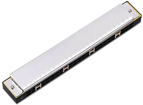 Professionelle Mundharmonika Echo Mundharmonika 24 Löcher Polyphone C Melodie Für Anfänger Und Erwachsene Für Selbststudium(Type 1)