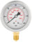 G 1/4Hydraulik Manometer, 0-600Bar 63mm Zifferblatt Wasser Manometer aus Metall