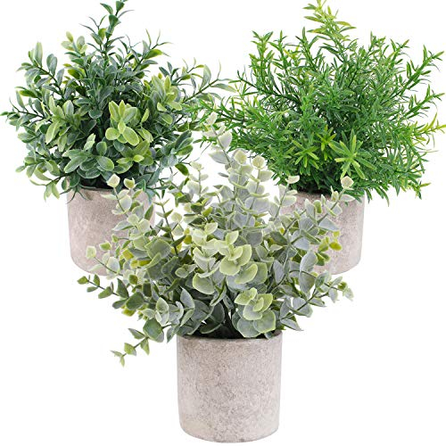 OUTLEE Künstliche Mini-Topfpflanzen, Eukalyptus-Pflanzen, Buchsbaum, Rosmarin, Grün in Töpfen, kleine Zimmerpflanzen für Zuhause, Büro, Schreibtisch, Dusche, Raumdekoration, 3 Stück