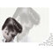 Puzzle 1000 Teile Elvis Presley Puzzle Für Erwachsene Und Kinder,Puzzle Mit Rock 'n' Roll Music-Motiv,Kann Als Heimdekoration Verwendet Werden 1000pcs (75x50cm)