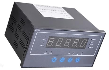 Anzeigeinstrument Wägeindikator