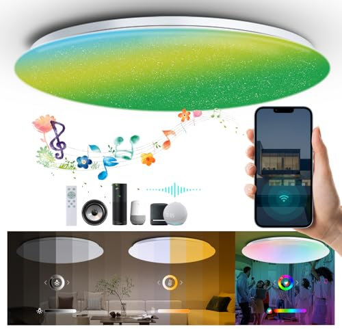 chysongoods Modern LED Music Ceiling Lights Φ40CM-45W with Bluetooth Speaker Voice Control Smart RGB Ceiling Lamps for Bathroom Bedroom Living Room Office Work with Alexa Google