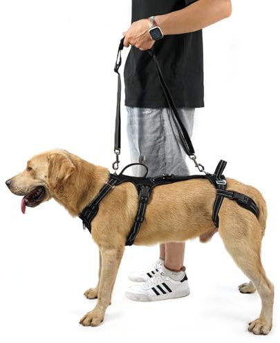 COODEO Tragehilfe Hund Hinterbeine, Hunde Hebegeschirr mit Schultergurt, Hundelift Gehhilfe für alte Hunde, Reha-Geschirr bei Arthritis, Gelenkverletzung, OP & Treppenhilfe (Schwarz, S)