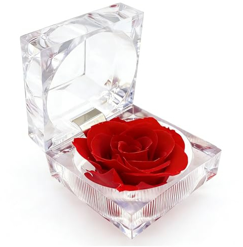 KBSICWO Rose Éternelle pour Saint-Valentin, Rose Véritable Préservée dans Mini Boîte à Bague Transparente, Coffret Roses Rouges Éternelles pour Saint-Valentin, Noël, Anniversaire